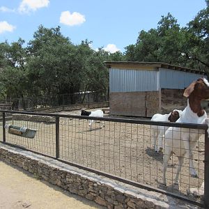 Goat Yard