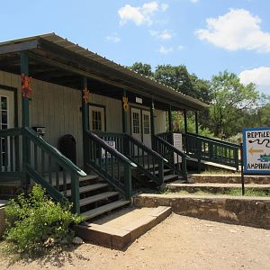 Reptile House - Exterior