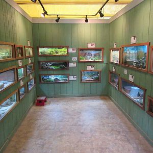 Reptile House - Interior