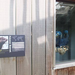 Animals which don't match the sign