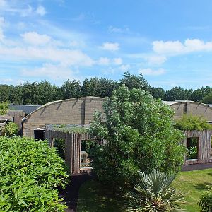 View over the Indoor Building from the Overhead Walkway