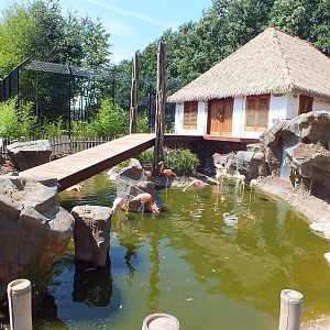 Caribbean Flamingo Enclosure
