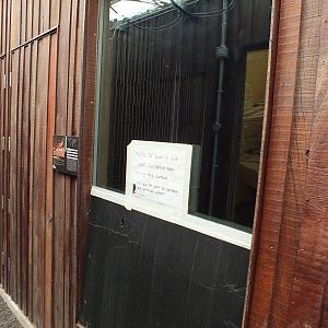 Enclosure for Fanaloka