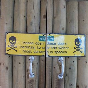 World's Most Dangerous Species