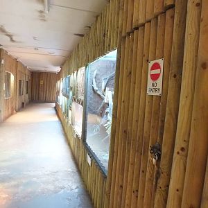 View in the Reptile House