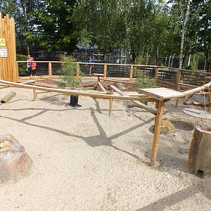 Meerkat Enclosure