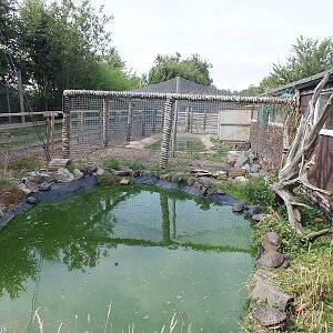 Outdoor Enclosures connected to the Reptile House