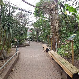 View Inside the Tropical House