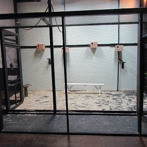 Walk-Through Bird Exhibit #1