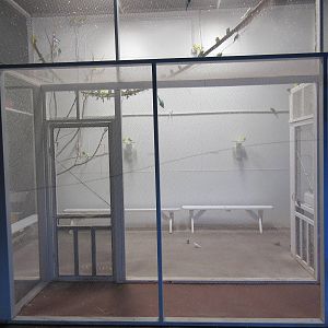 Walk-Through Bird Exhibit #2