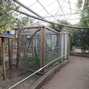 View Inside Tropical House