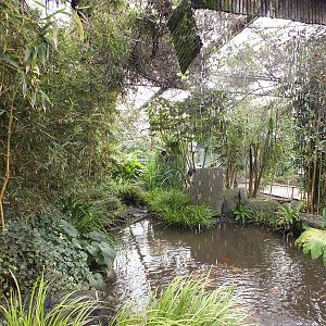 View Inside Tropical House