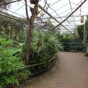 View Inside Tropical House