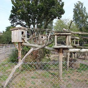 Red Panda Enclosure