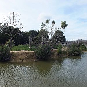 Mandrill Island on Lake