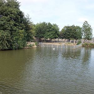 View of Tapir Enclosure from the Lake