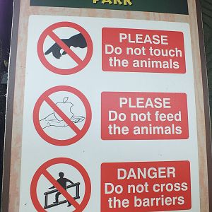 Don't feed you IPhone to the animals!