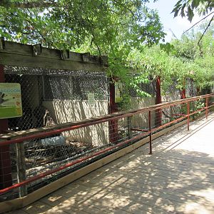 Small Mammal Exhibits
