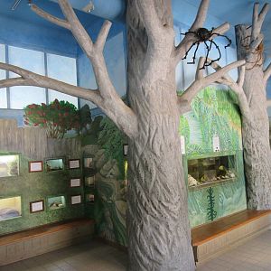 Small Wonders Building (assorted terrariums)