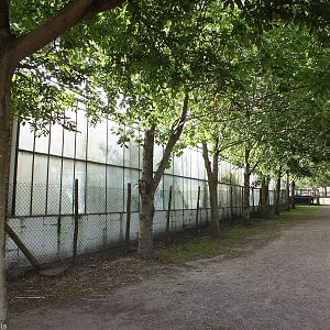 Outside View of the Tropical House