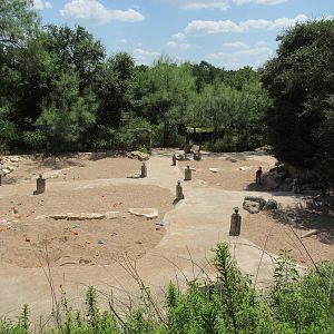 Dino Dig - Giant Kiddie Sandboxes