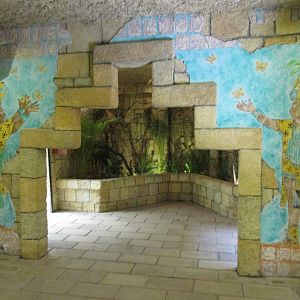 butterfly house africam safari