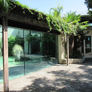 MOLA - Saltwater Crocodile Exhibit + Entrance