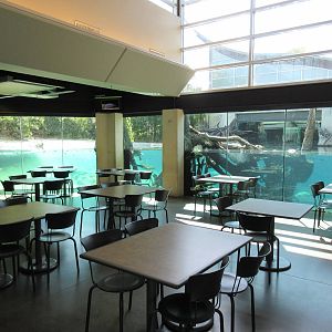 MOLA - Gharial River Exhibit