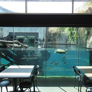 MOLA - Gharial River Exhibit