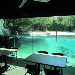 MOLA - Gharial River Exhibit