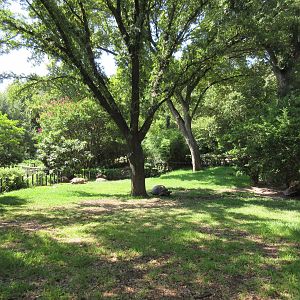 MOLA - Aldabra Tortoise Exhibit