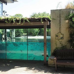 MOLA - Gharial River Exhibit