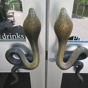MOLA - Cobra Door Handles