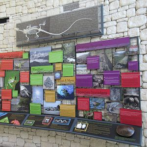 MOLA - Interpretative Graphics