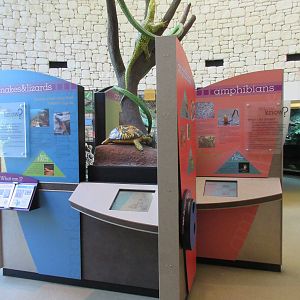 MOLA - Interpretative Graphics