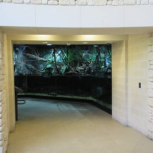MOLA - Flooded Forest Exhibit (glimpse from hallway)