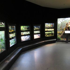 MOLA - Assorted Terrariums