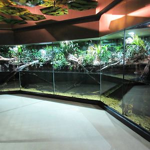 MOLA - Asian Tropical Trails Exhibit