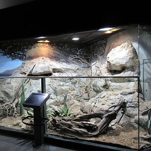 MOLA - American Desert Exhibit