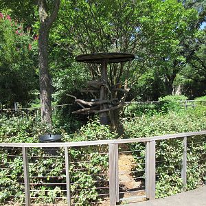 MOLA - Macaw Perches