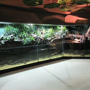 MOLA - Mixed-Species Exhibit (10 feet high and 35 feet long?)