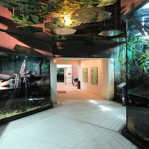 MOLA - Flooded Forest Exhibits