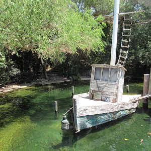 Texas Wild! - Gulf Coast Aviary