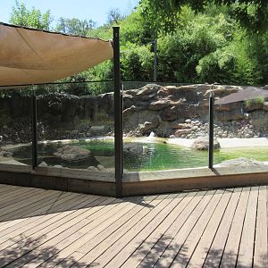 African Penguin Exhibit