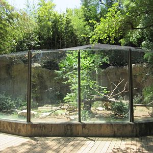 Palm Nut Vulture Exhibit (almost unheard of in U.S. zoos)