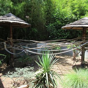 Galah Exhibit (old Koala exhibit)
