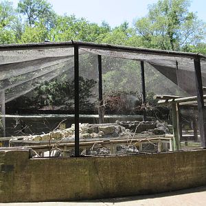 Walk-Through Parrot Aviary