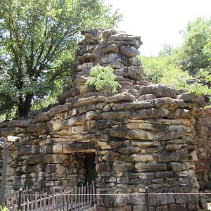 Lion Exhibit Rock (indoor accommodation is hidden back there)