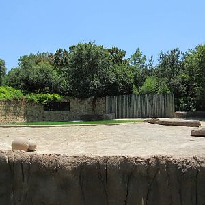Asian Elephant Exhibit (pitifully tiny)