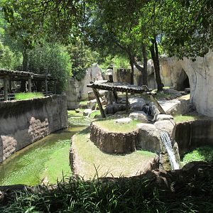 Primate World - Lowland Gorilla Exhibit (side view)